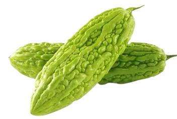 Bitter Melon